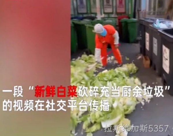 拉斯维加斯5357环保丨科普篇：一堆白菜引发的思考